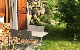 Chalet Cosy